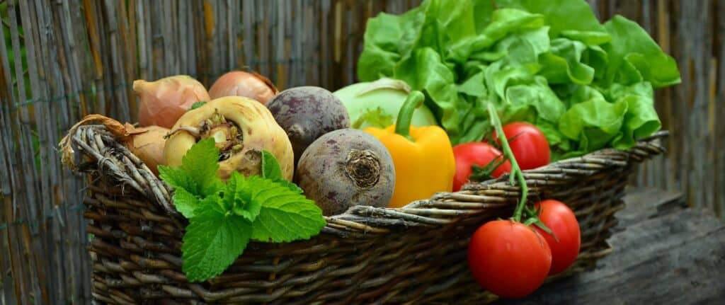 Vegetable basket