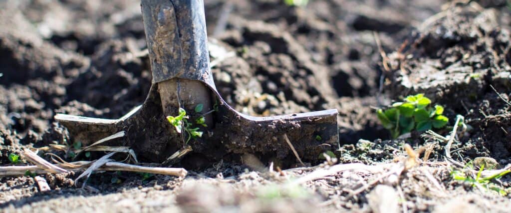 Spade Soil