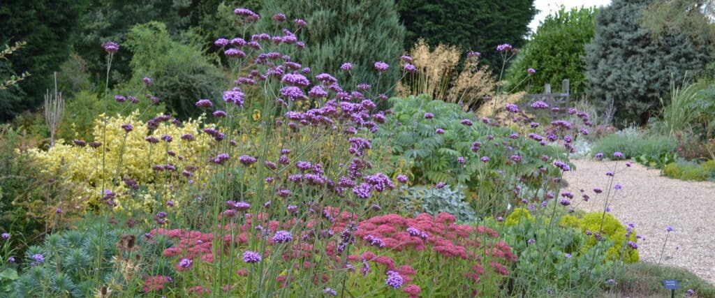 Gravel Garden