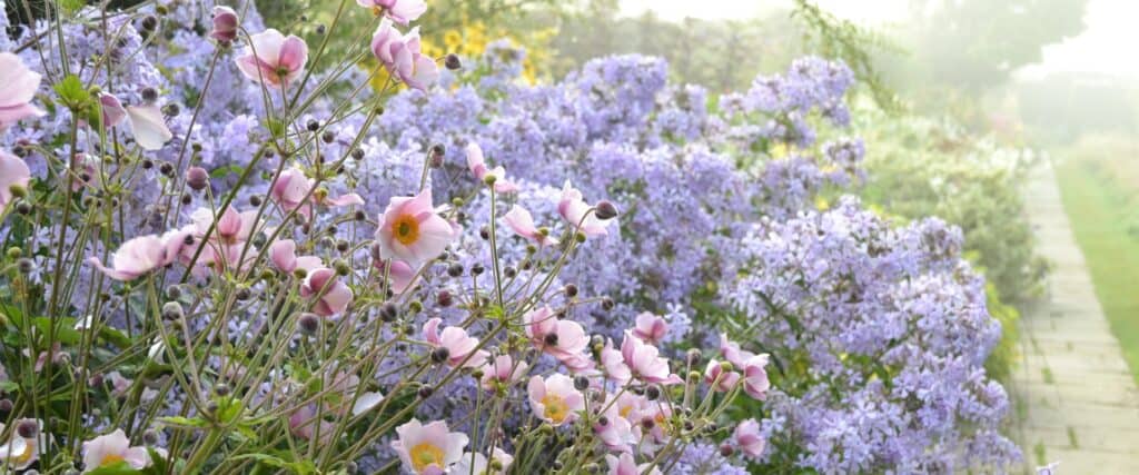 Great Dixter Long Border