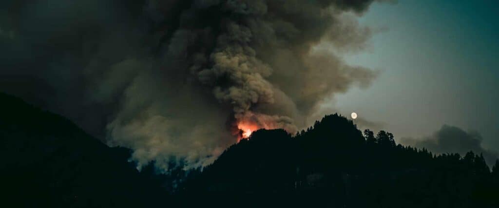 Wild Fire