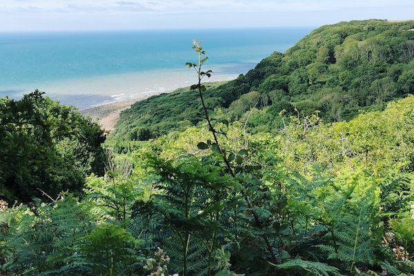 coastal_view